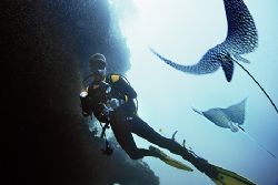 nik D200 in sealux housing, maldives ari atoll,
composin... by Manfred Bail 